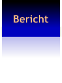 Bericht